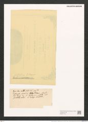 Nitzschia tryblionella var. subsalina (O'M.) Grun. (de-Toni-Nr.: Genus 47, Species 2005) Zeichnungen Sammlung Grunow (NHMW-BOT-W0371719)
